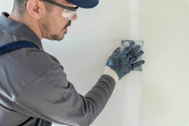 Wallpaper Removal and Painting in Placerville, CA