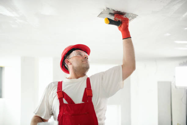 Professional Painting & Drywall Services in Placerville, CA